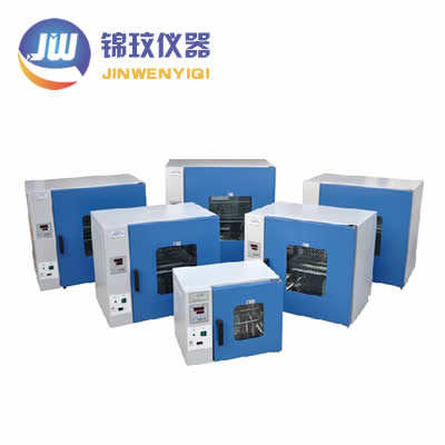 鼓風(fēng)干燥箱-300度